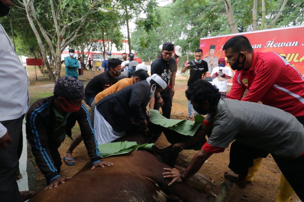 Polda Kepri Sembelih Ekor Hewan Qurban Own Talk