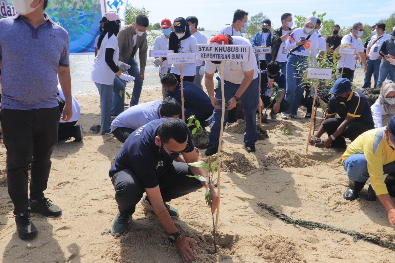 Pt Timah Tbk Bersama Kementerian Bumn Tanam Ribuan Mangrove Di Karimun