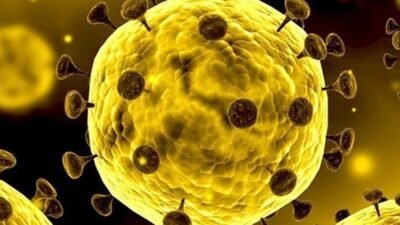 8 Langkah Agar Keluarga Terhindar Dari Virus Corona