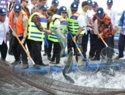 Nelayan Batam Terima Bantuan 50 Ribu Ekor Benih Ikan dari Menteri KKP