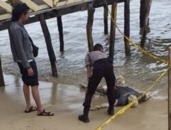 Mayat Tanpa Indentitas ditemukan di Pantai Nongsa