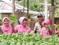Bhayangkari Berhidroponik Untuk Bantu Ekonomi Keluarga