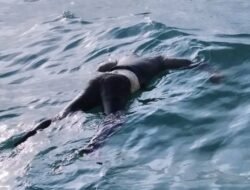 Lagi, Mayat Mr X di temukan di Pantai Mubut dengan ciri-ciri Ini