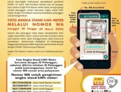 Cegah Petugas Kunjungi Rumah Pelanggan ditengah Covid 19, Begini Cara Melapor Penggunaan Daya PLN dirumah