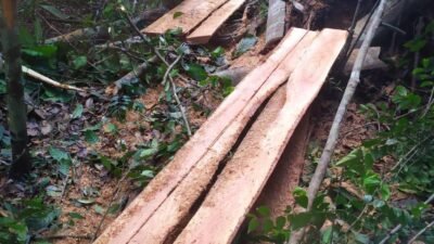 berita terkini batam