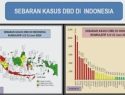 Penambahan Kasus Demam Berdarah Masih Tinggi Di Daerah Ini