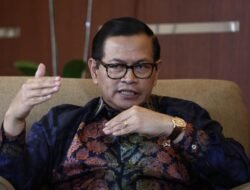 Sekretaris Kabinet: Penanganan Menjadi Lebih Baik