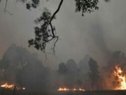 Lahan Dekat Permukiman Warga di Pekanbaru Terbakar