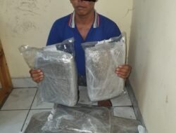 Pemilik 6 KG Daun Ganja Terciduk Polisi di Nagoya