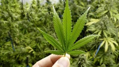 berita terkini batam