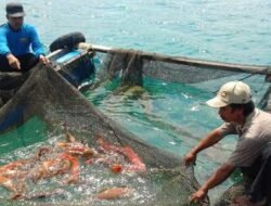 Senyum Cerah Nelayan Kepri, Kebijakkan Menteri KKP Selamatkan Ekonomi Nelayan