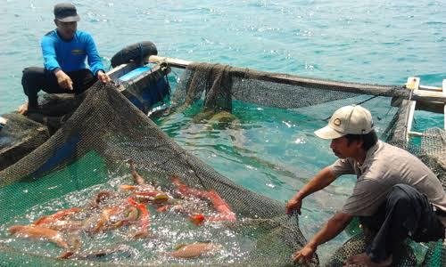 berita terkini batam