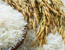 Beras Bansos, Kemensos Anggarkan Rp5,1 Triliun