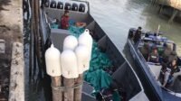 Penyelundup Miras Ilegal Di Bekuk Petugas Bea Cukai di Perairan Nyamuk