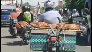 berita terkini batam