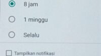 Fitur “Mute” Selamanya Grub WhatsApp Resmi Dirilis, Begini Cara Mengaktifkan