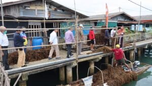 berita terkini batam