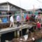 bright PLN Batam Bantu Perekonomian Warga dengan Budidaya Rumput Laut