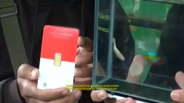 berita terkini batam