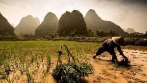 berita terkini batam