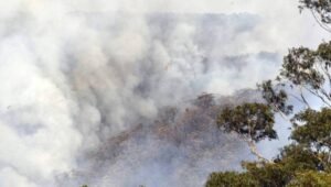 Hutan Australia Kebakar, Situs Warisan Dunia Terancam