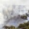 Hutan Australia Kebakar, Situs Warisan Dunia Terancam
