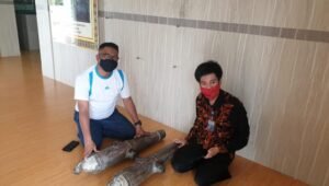 berita terkini batam