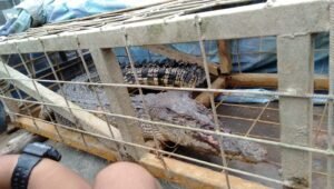 berita terkini batam