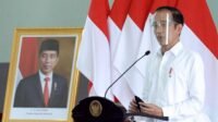 Presiden Jokowi Resmi Melantik Lima Dewan Pengawas SWF