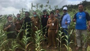 berita terkini batam