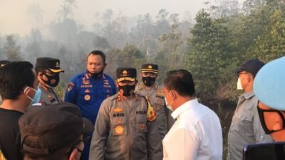 Berita kebakaran Hutan Terbaru