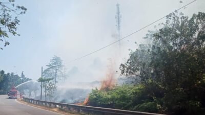 Kembali Terjadi Kebakaran Hutan di Tanjakan Bukit Daeng