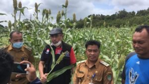 berita terkini batam