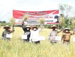 Walkot Resmikan Panen Raya Padi Hasil Kampung Tangguh Binaan Polres Tanjung Balai 