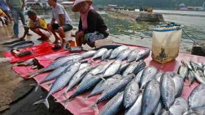 Bantuan Modal Usaha bagi Nelayan di Kabupaten Natuna
