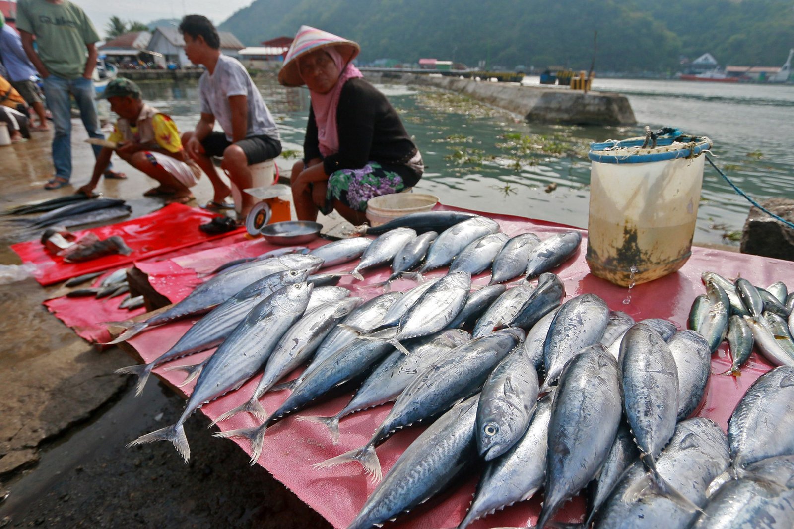 Bantuan Modal Usaha bagi Nelayan dan Pelaku Usaha Perikanan di Kabupaten Natuna