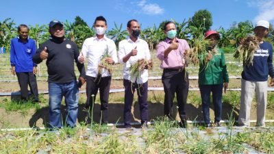 Berita Terkini Batam