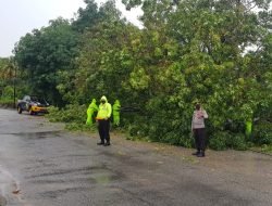 Sat Sabahara Polres Karimun Evakuasi Pohon Tumbang
