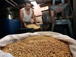 Imbas Naiknya Harga Kedelai, Perajin Tempe Mogok Kerja