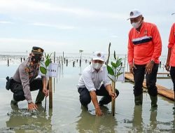 Peringati Hari Lingkungan Hidup Sedunia, Pemkab Batu Bara Tanam 3.100 Pohon Mangrove di Pantai Sejarah