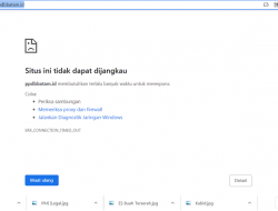 Pak Wali, Link PPDB Batam Sulit Diakses