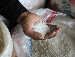 Ini Bantuan Dari Pemerintah Untuk Warga Saat Menghadapi PPKM Darurat