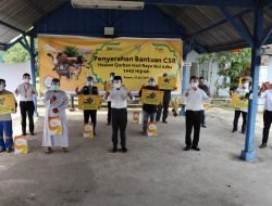 bright PLN Batam Serahkan Bantuan 53 Hewan Qurban di Idul Idha 1442 H