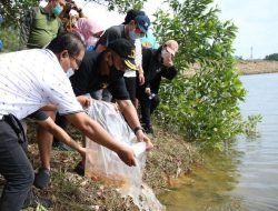 Wakil Kepala BP Batam Tebar Benih Ikan di Waduk Sei Ladi