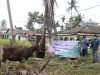 PT Timah Bagikan 32 Ekor Hewan Kurban di Kepri dan Riau