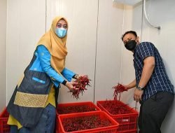 Peduli Petani Cabai, Ketua TP PKK Batu Bara Salurkan Bantuan