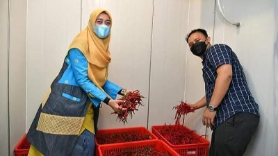 Berita Terkini Batam