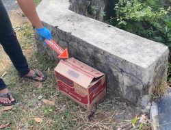 Duh Teganya, Bayi Masih Hidup Dibuang Dalam Kardus di Wonogiri