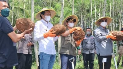 Berita Terkini Batam