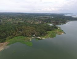 PT TDK Electronics Indonesia bekerja sama dengan Badan Pengusahaan Batam Gelar Penanaman Pohon